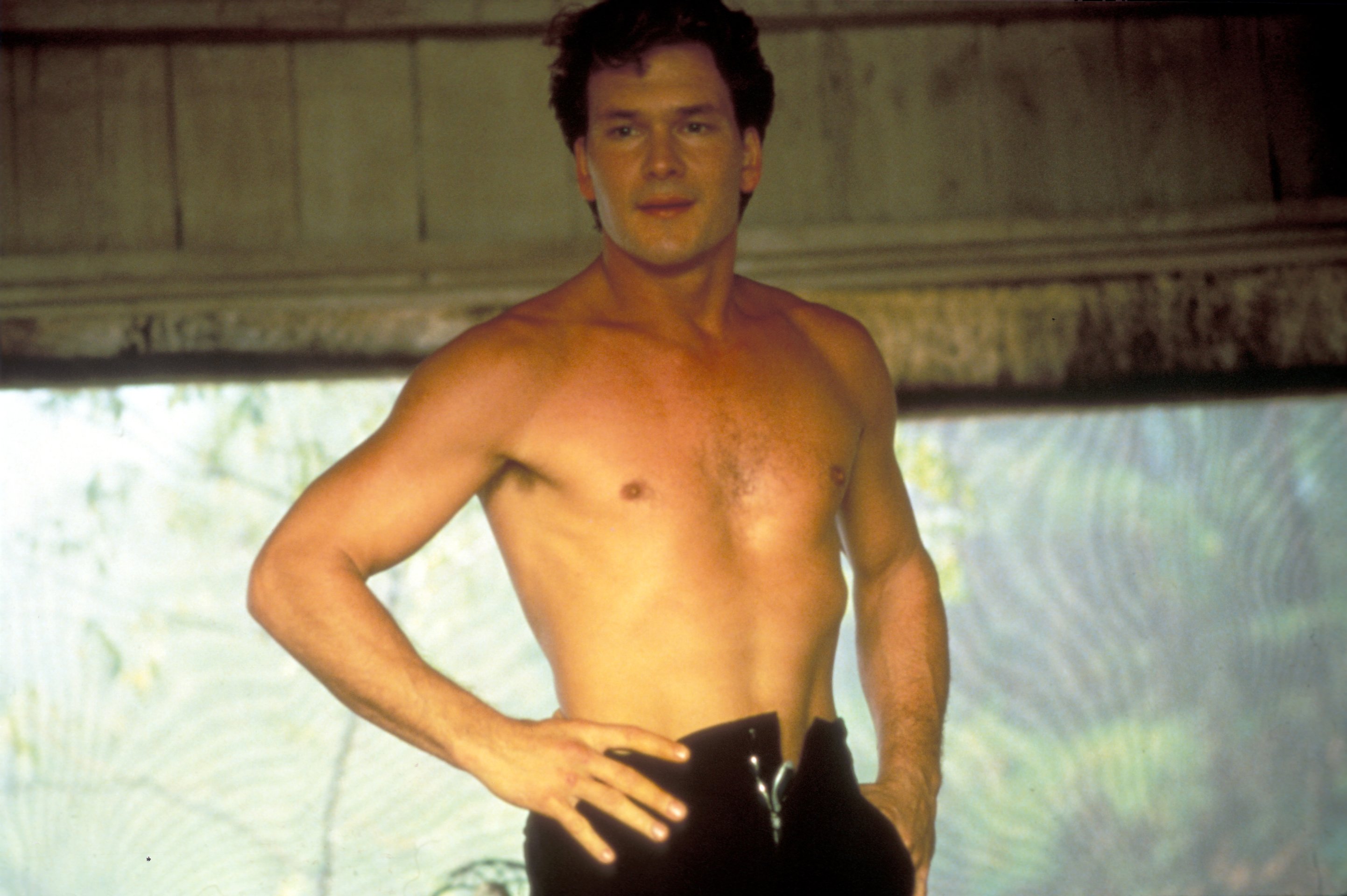 31+ Fakten über Patrick Swayze Dirty Dancing: I could be your patrick