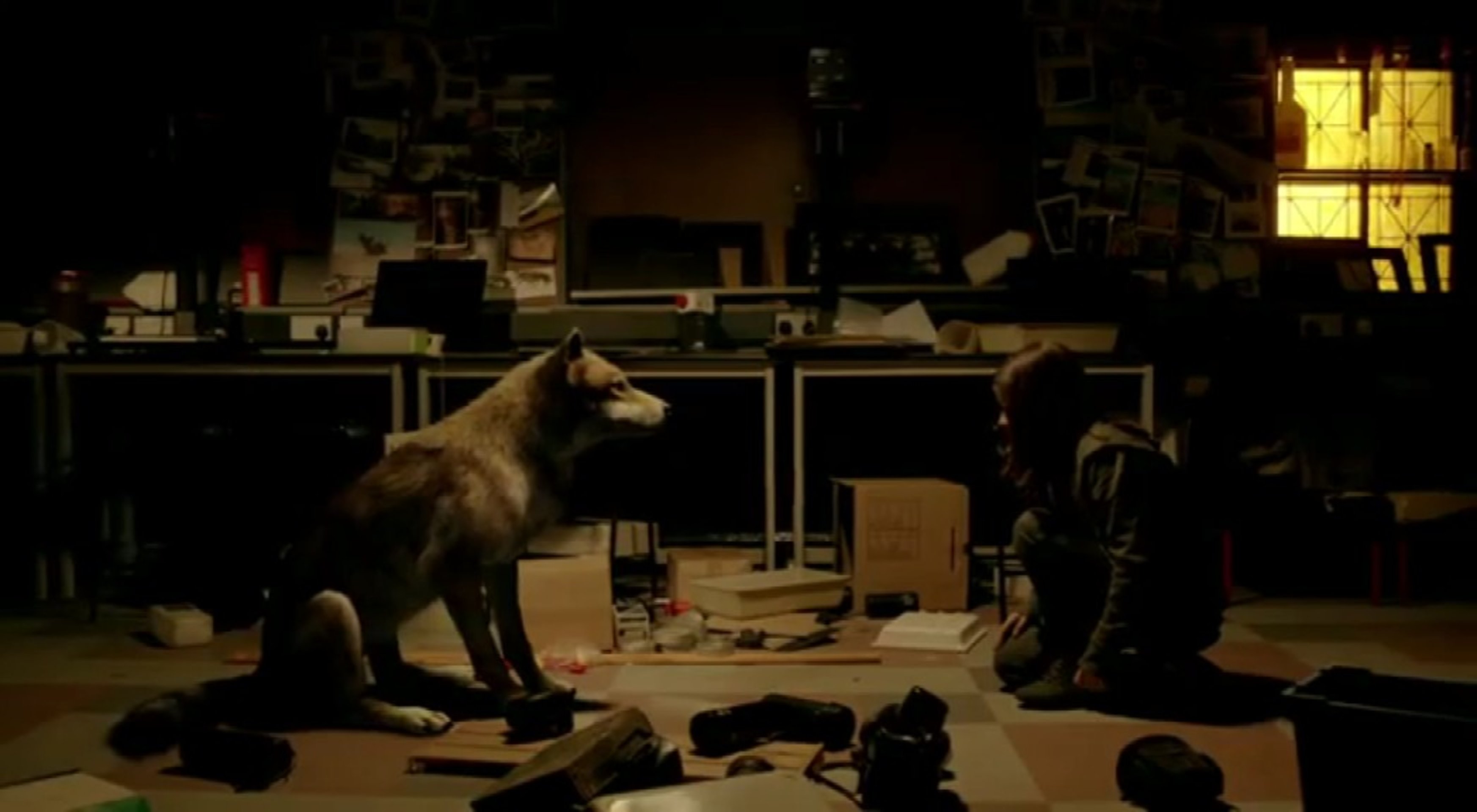 Wolfblood - Verwandlung bei Vollmond Film · Trailer · Kritik · KINO  width=